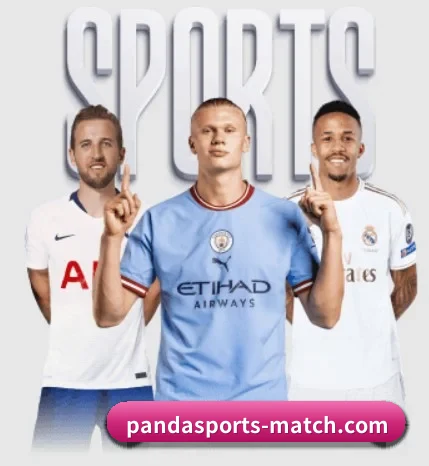 平台简介 - 体育资讯内容服务 - Panda Sports
