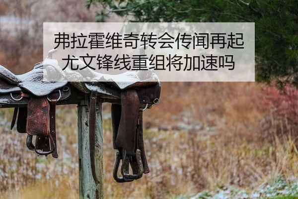 弗拉霍维奇转会传闻再起 尤文锋线重组将加速吗 | Panda Sports