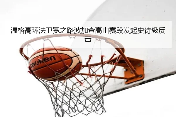 wen-ge-gao-huan-fa-wei-mian-zhi-lu-bo-jia-cha-gao-shan-sai-duan-fa-qi-shi-shi-ji-fan-ji-2-758.jpg