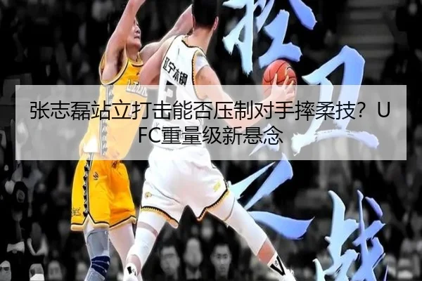 张志磊站立打击能否压制对手摔柔技？UFC重量级新悬念
